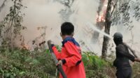 IMG-20261017-WA0008